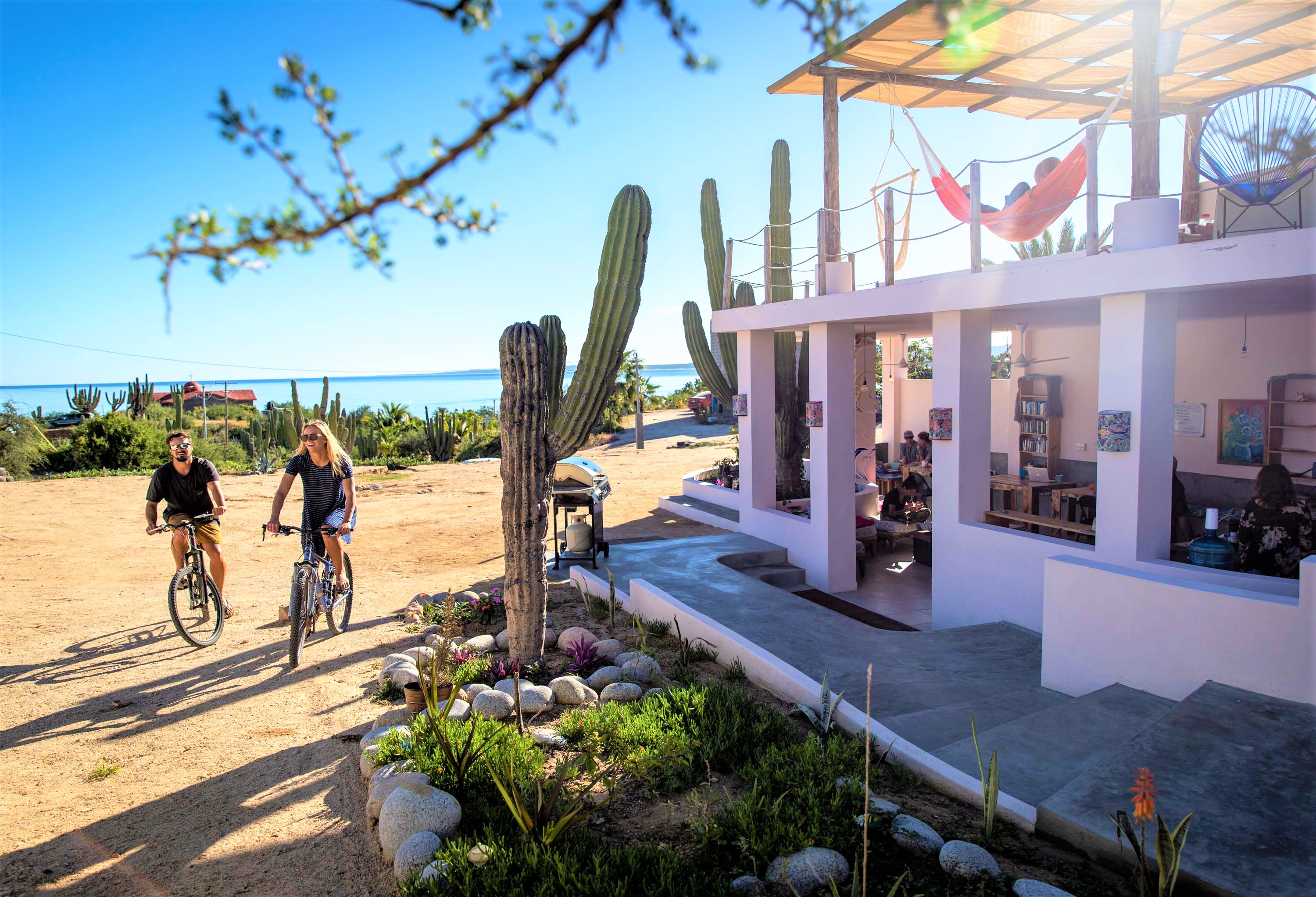 Cyclists riding past tall cacti next to the hotel, with the sea and Cerralvo Island in the background